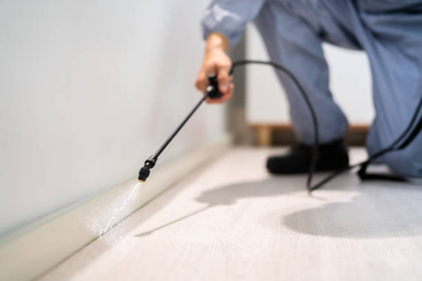 Licensed Fumigation Services service in Yukon, OK - Nex Pest Control