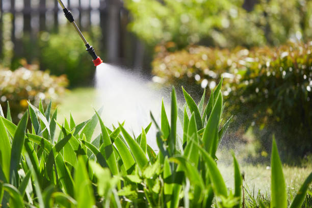 24/7 Emergency Fumigation Services experts in Yukon, OK